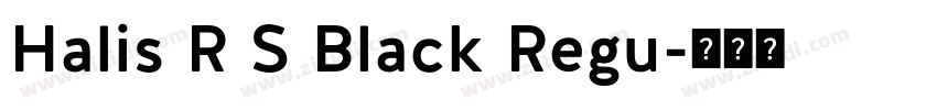 Halis R S Black Regu字体转换